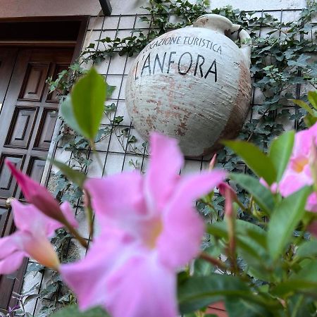 特尔尼L' Anfora Locazione Turistica公寓 外观 照片